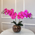 Arranjo de Orquídea Fucsia Com Vaso de Vidro Transparente Aquário