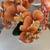 Arranjo de Orquídea Ocre Outono Com Vaso de Vidro Prata Equibana - comprar online
