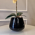 Arranjo de Orquídea Laranja Outono Com Vaso de Vidro Preto Brilho Conhaque na internet