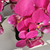 Arranjo de Orquídea Fucsia Com Vaso de Vidro Preto Brilho Equibana - comprar online