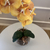 Arranjo de Orquídea Laranja Outono Com Vaso de Vidro Transparente Conhaque - comprar online