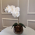 Arranjo de Orquídea Branco Puro Com Vaso de Vidro Transparente Conhaque