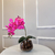 Arranjo de Orquídea Fucsia Com Vaso de Vidro Transparente Conhaque