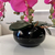 Arranjo de Orquídea Fucsia Com Vaso de Vidro Preto Brilho Equibana na internet