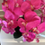 Arranjo de Orquídea Fucsia Com Vaso de Vidro Branco Equibana - comprar online