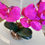 Arranjo de Orquídea Fucsia Com Vaso de Vidro Transparente Aquário - comprar online