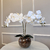 Arranjo de Orquídea Branco Puro Com Vaso de Vidro Transparente Aquário