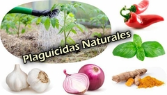 Banner de la categoría Plaguicidas Naturales