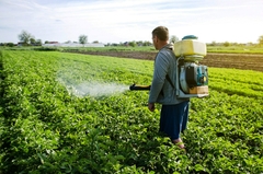 Banner de la categoría Fungicidas y Fertilizantes 