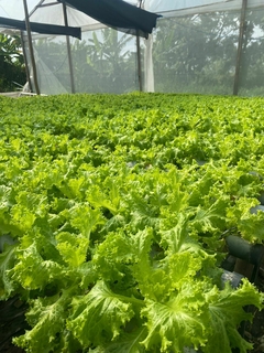 Banner de la categoría Productos de Campo