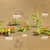 Animal Friends - comprar online