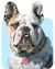 Medalla Inteligente para mascotas con collar - Tienda Digital