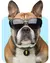 Imagen de Medalla Inteligente para mascotas con collar
