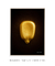 Quadro Decorativo Grão de Milho Dourado - comprar online