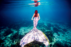 Mermaid - comprar online