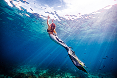 Mermaid - Ohana Freedivers