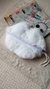 Cartuchera kiss plush ☁️ en internet