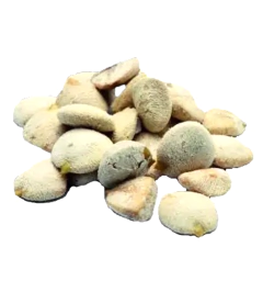 NUEZ SEMILLA DE LA INDIA TRATAMIENTO 52 DIAS - comprar online