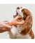 Benebone Wishbone G sabor Frango – Mordedor Resistente com Sabor Irresistível para Cães - Pet Mundi