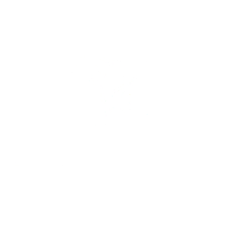 Pet Mundi