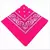 Bandana Multifuncional Paisley 55x55 cm - Ciclismo, Camping e Outdoor