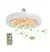 Ventilador LED Smart com Controle Remoto. - comprar online