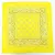 Imagem do Bandana Multifuncional Paisley 55x55 cm - Ciclismo, Camping e Outdoor