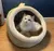 Imagem do Cabana Confortável para Pets – Cama Dobrável e Lavável
