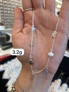Categoria 8