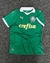 Camisa do Palmeiras 24/25 - comprar online
