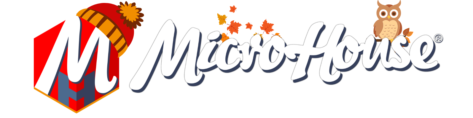 Micro House