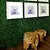 Kit com 20 Placas de Grama Artificial Buchinho - comprar online