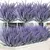 Buquê de Lavanda Artificial com 5 Ramos