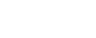 2 stylo