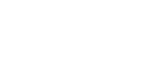 2 stylo