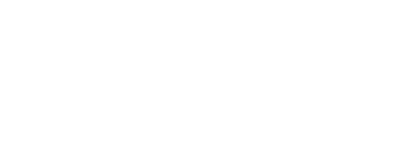 2 stylo