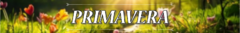 Banner da categoria Primavera