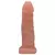 Prótese Realística Vertebrada 18 x 4 cm - comprar online