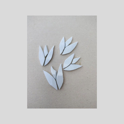 KIT DE TULIPAS BRANCAS