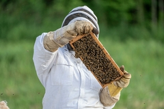 Banner de la categoría Productos