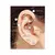 Curvo Rock e Rock Piercing - Vitrine Infinita