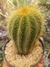 PARODIA MAGNIFICA - comprar online