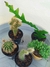 KIT 05 MISTO - comprar online