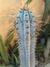 PILOSOCEREUS AZUREUS - CACTO AZUL - comprar online