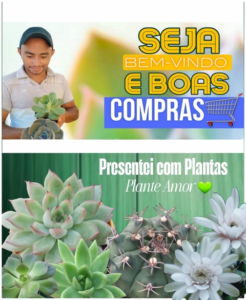 Carrossel 1