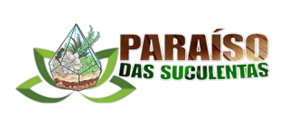 Loja Paraiso das Suculentas 