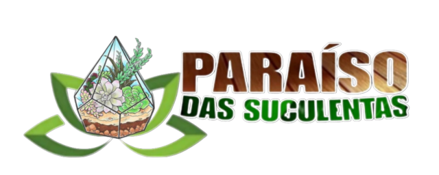 Loja Paraiso das Suculentas 