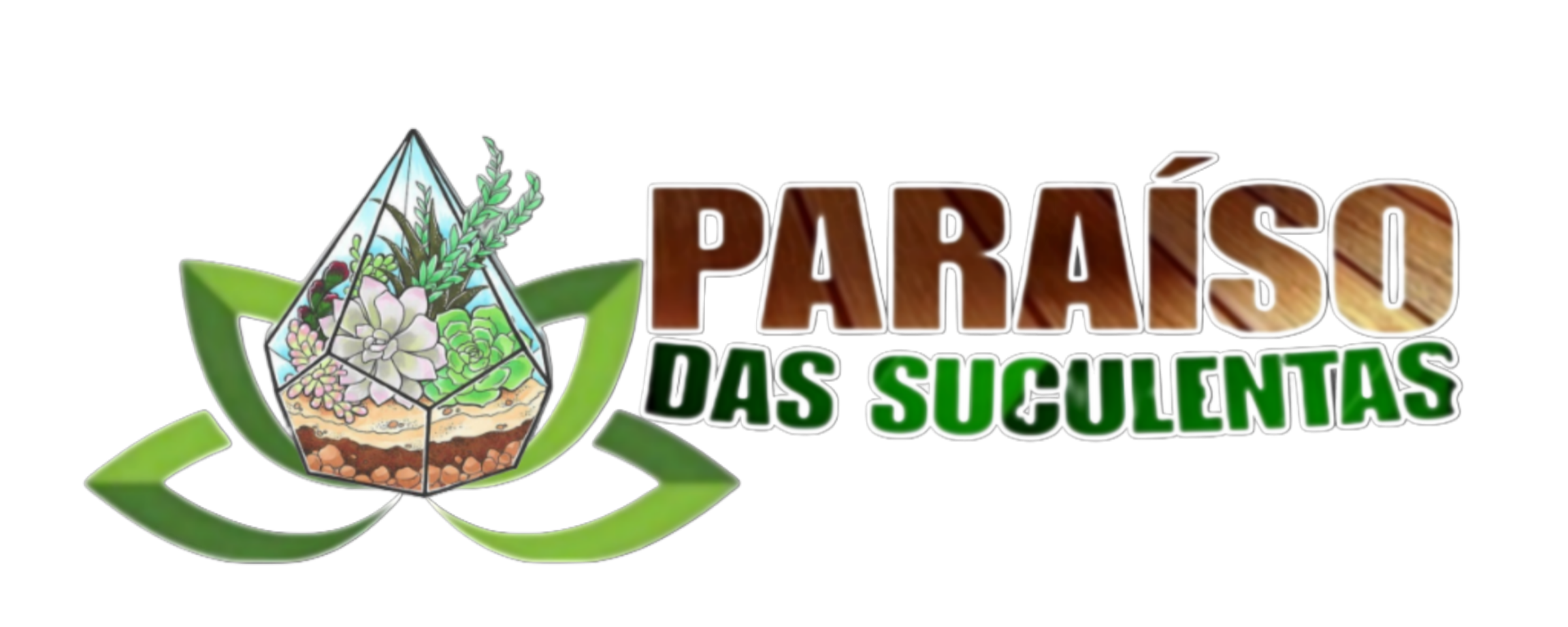 Loja Paraiso das Suculentas 