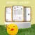 Bola de Brinquedo Infantil – Design Divertido, Seguro e Educativo (2 Unidades) - comprar online