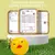 Imagem do Bola de Brinquedo Infantil – Design Divertido, Seguro e Educativo (2 Unidades)